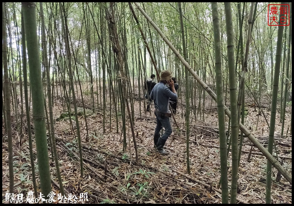 雲也居一休閒農場|苗栗薑麻園知名的景觀餐廳/雲海/美食/採果 @假日農夫愛趴趴照