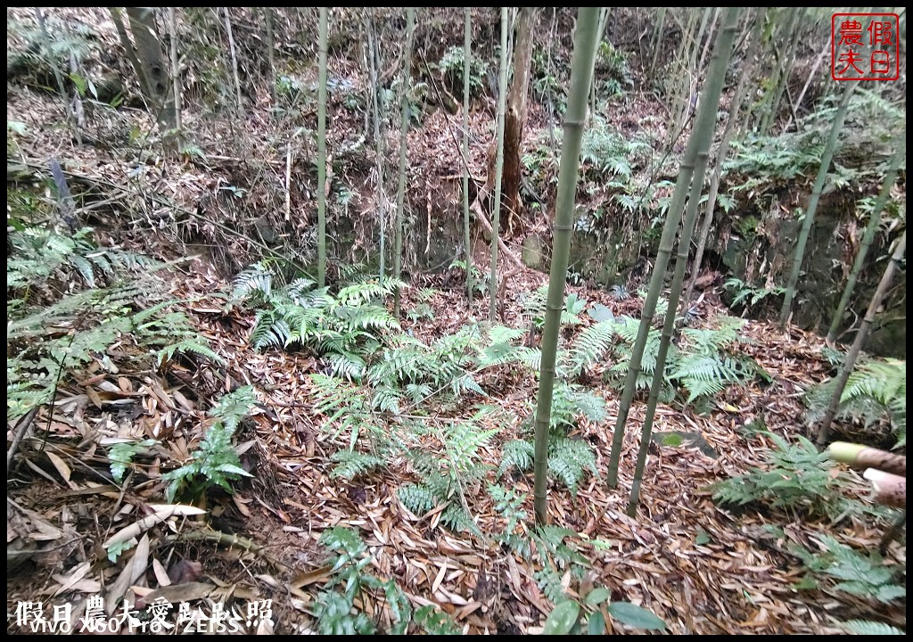 雲也居一休閒農場|苗栗薑麻園知名的景觀餐廳/雲海/美食/採果 @假日農夫愛趴趴照