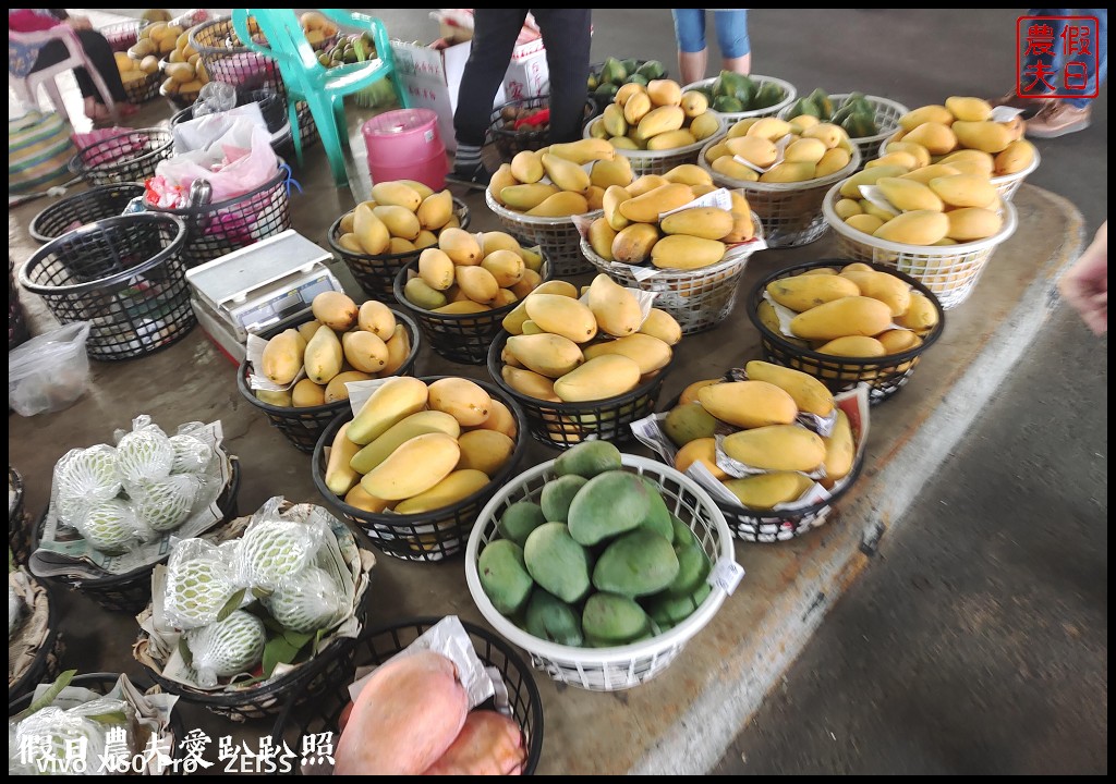 到台灣最大檨仔市跟農民買芒果|玉井青果集貨場芒果批發市場 @假日農夫愛趴趴照