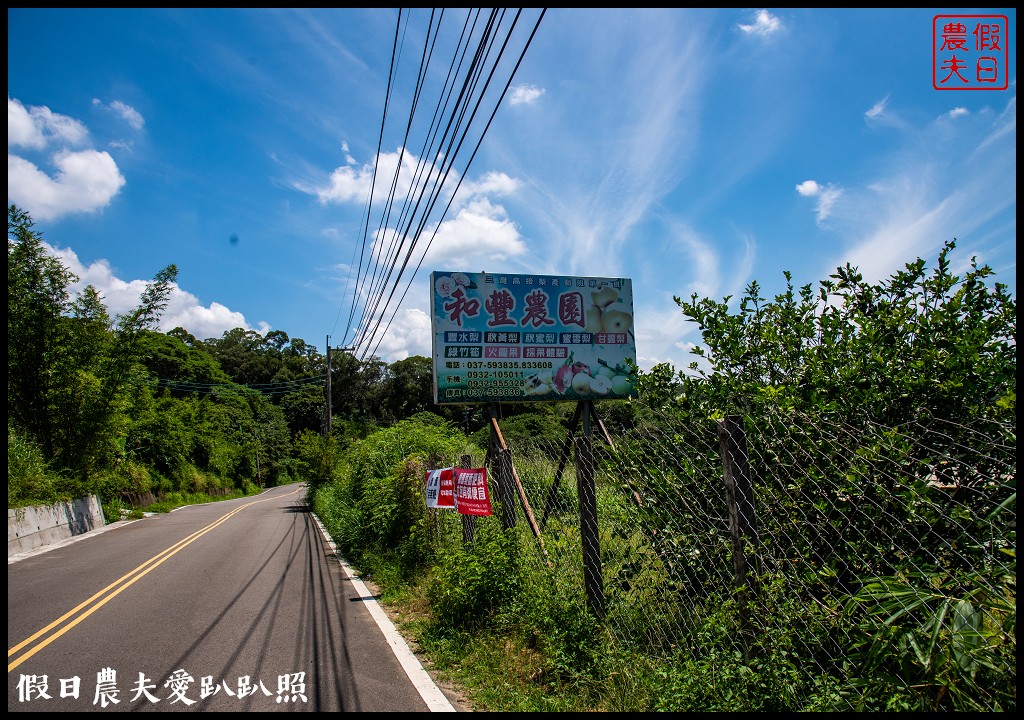 三灣和豐農園採梨|寶島甘露梨果實飽滿口感脆甜多汁 @假日農夫愛趴趴照