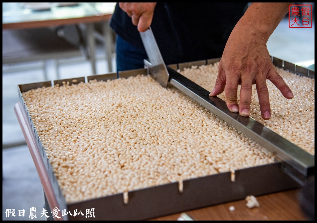 跟著咖啡去旅行|國姓一日遊景點美食推薦/啡玩不可 @假日農夫愛趴趴照