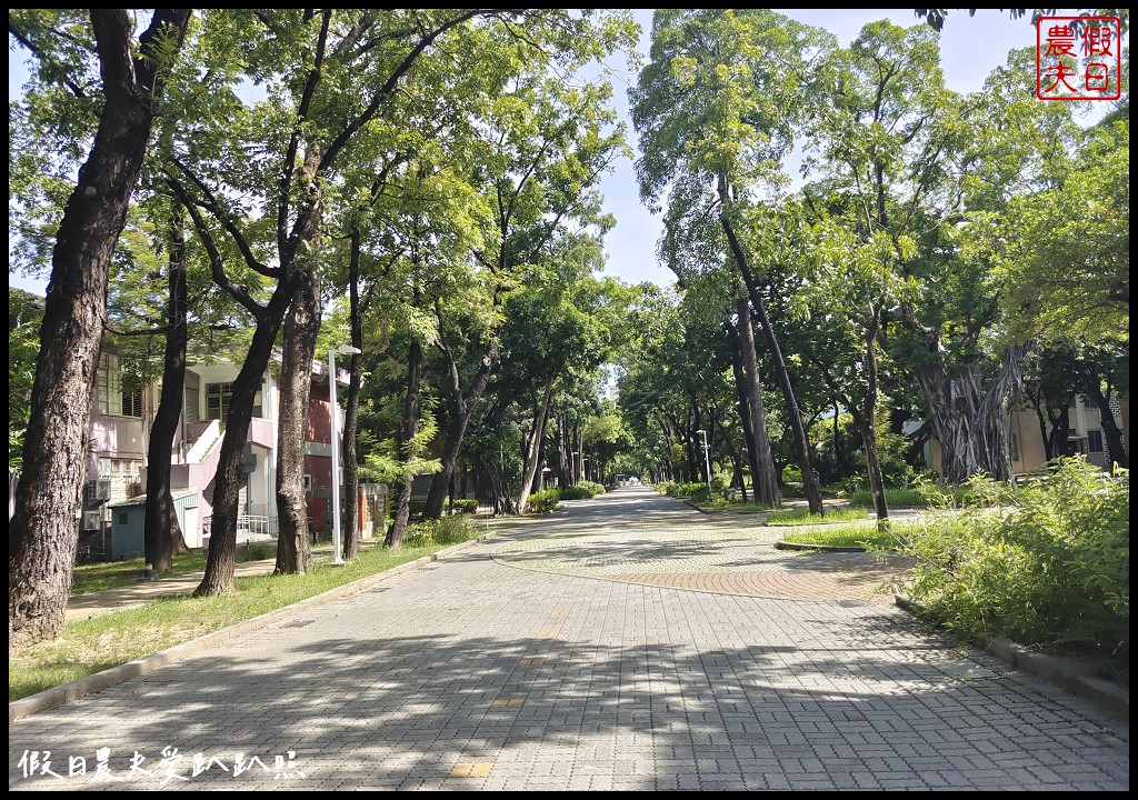 台南太子文旅|住宿成功大學校區旁．走訪大學生平價小吃街異國美食小巷\原成大會館 @假日農夫愛趴趴照