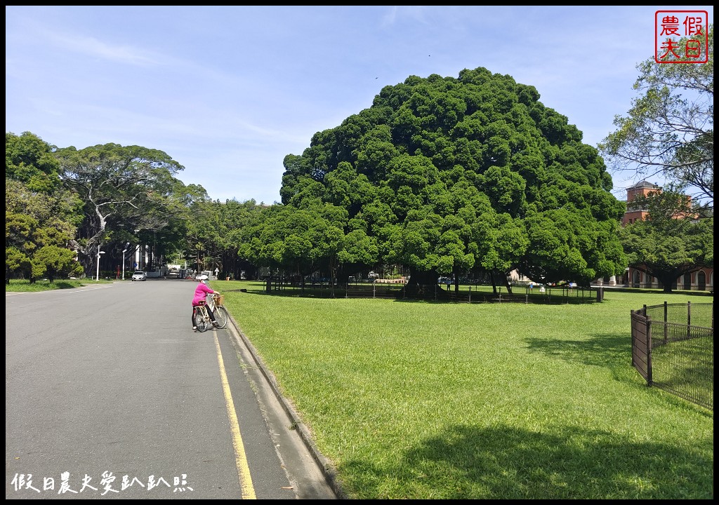 台南成大會館|住宿成功大學校區內．走訪大學生平價小吃街異國美食小巷 @假日農夫愛趴趴照