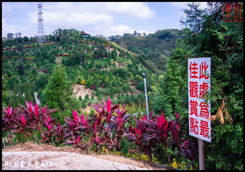 三灣落羽松秘境|漸漸換上繽紛色彩．停車交通看這篇 @假日農夫愛趴趴照