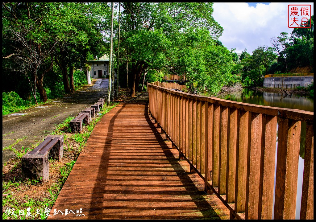 三灣銅鏡社區|紅磚古厝客庄小旅行．大龍岡湖環湖步道 @假日農夫愛趴趴照