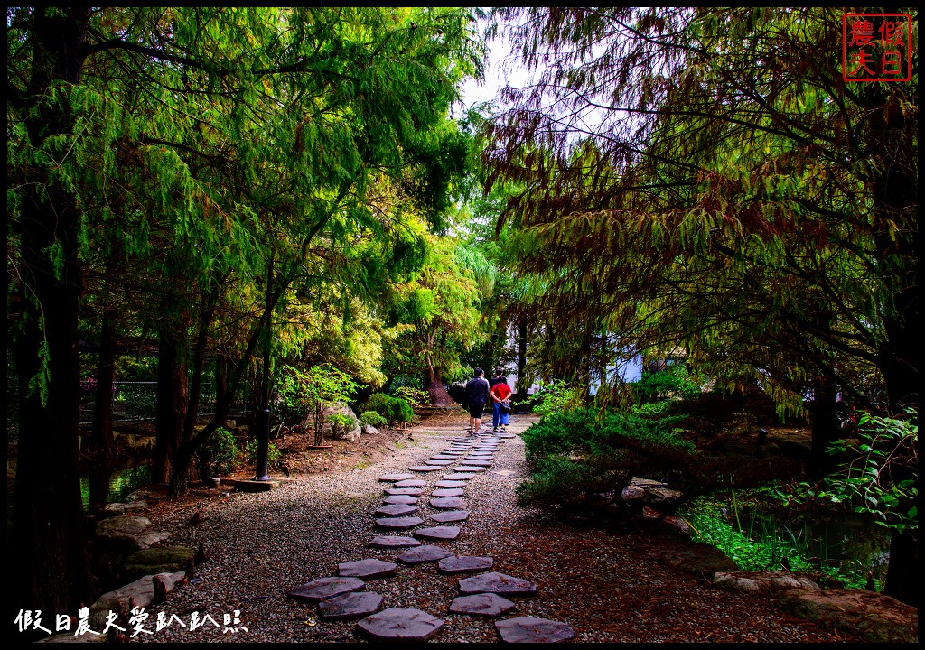 品園日式花園|7000坪私人豪宅庭園免門票入園參觀/美麗的好花園 @假日農夫愛趴趴照