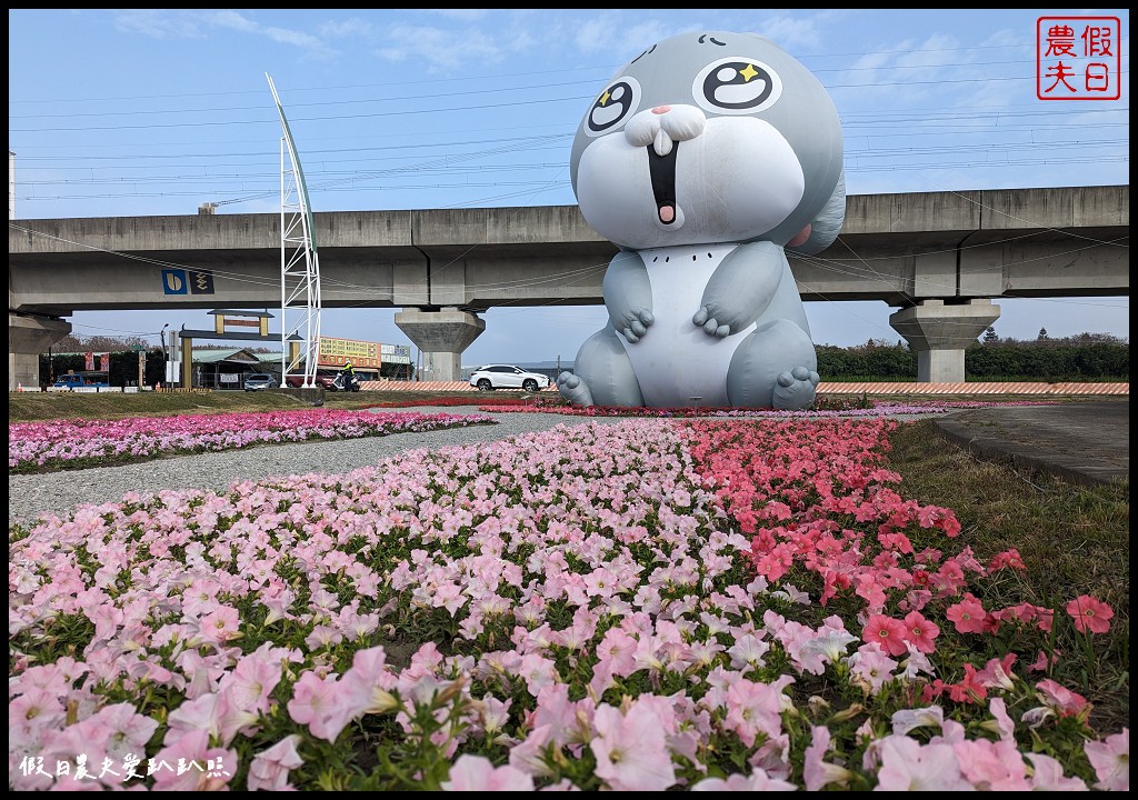 2023花在彰化|免費走春好去處 白天溪州公園賞花、晚上八卦山賞燈 @假日農夫愛趴趴照