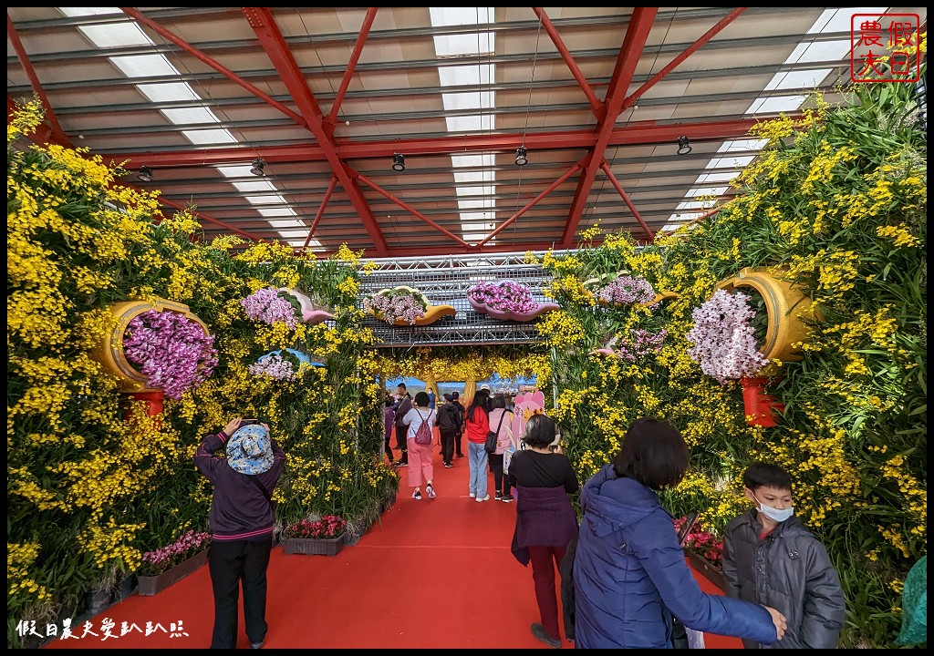 2023花在彰化|免費走春好去處 白天溪州公園賞花、晚上八卦山賞燈 @假日農夫愛趴趴照