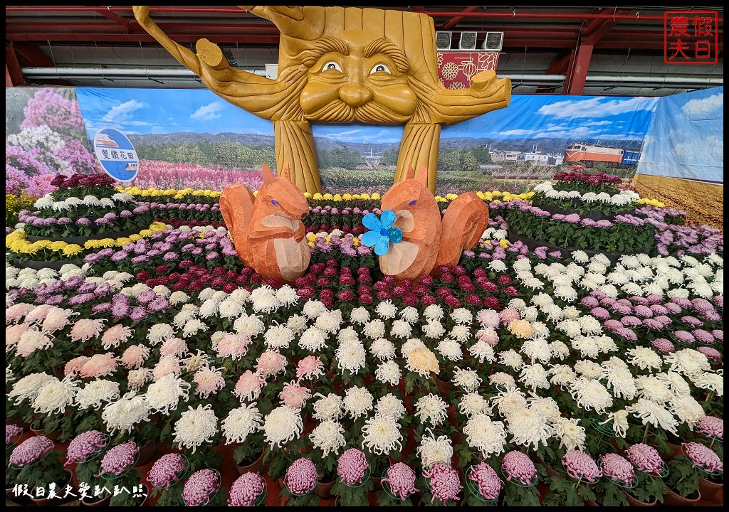 2023花在彰化|免費走春好去處 白天溪州公園賞花、晚上八卦山賞燈 @假日農夫愛趴趴照