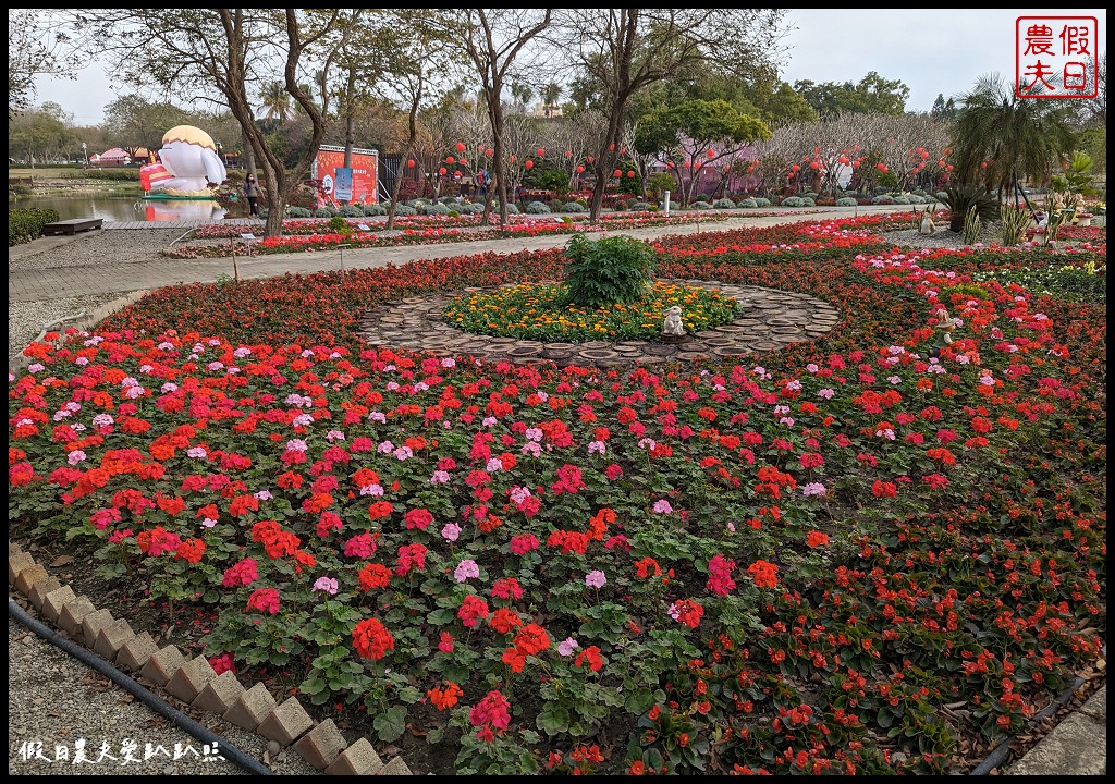 2023花在彰化|免費走春好去處 白天溪州公園賞花、晚上八卦山賞燈 @假日農夫愛趴趴照