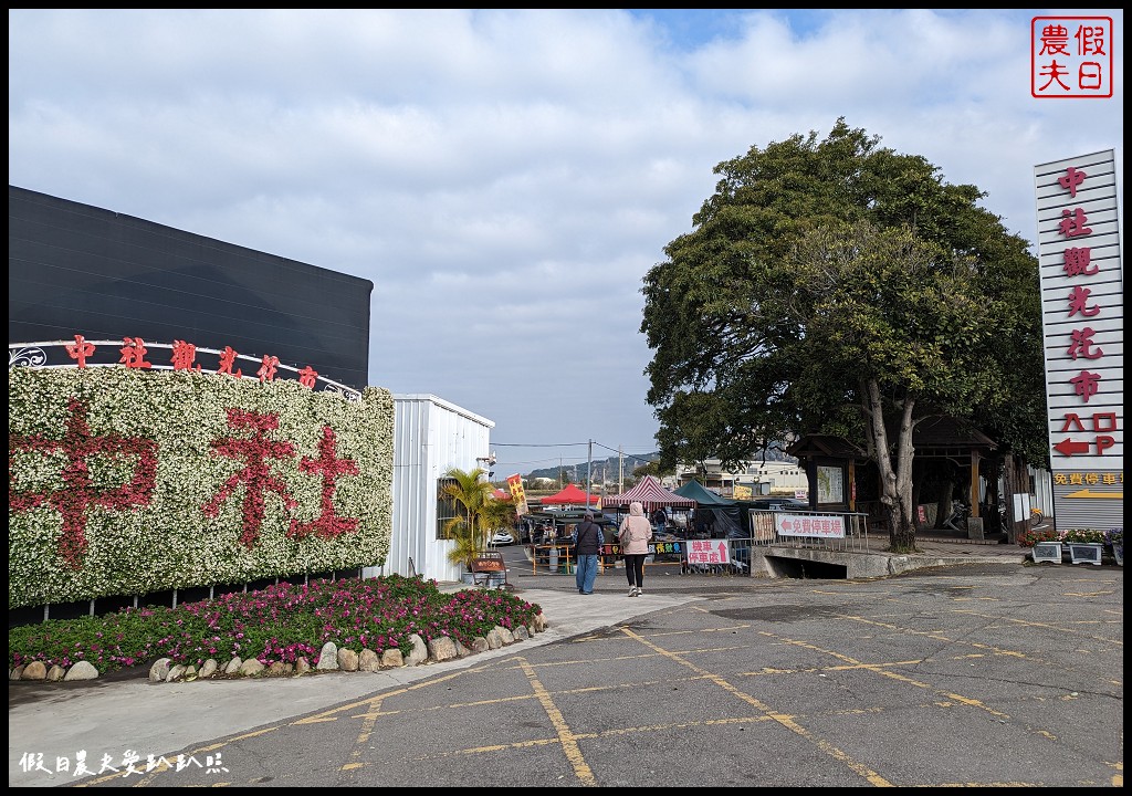 中社觀光花市|不用坐飛機到荷蘭也能欣賞到鬱金香花海 @假日農夫愛趴趴照