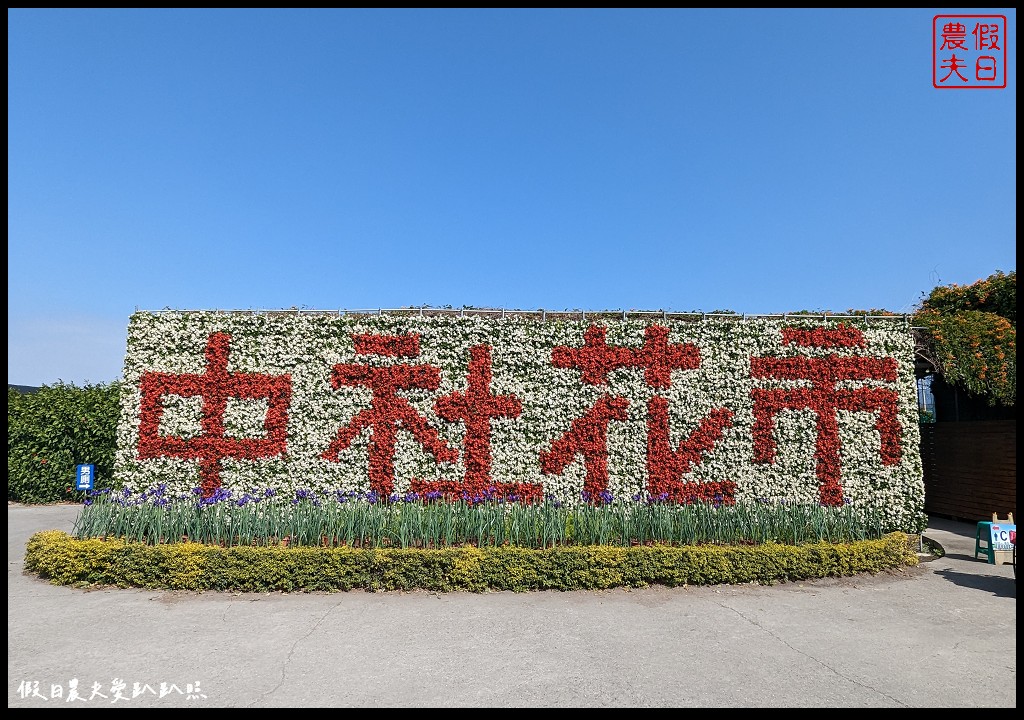 中社觀光花市|不用坐飛機到荷蘭也能欣賞到鬱金香花海 @假日農夫愛趴趴照