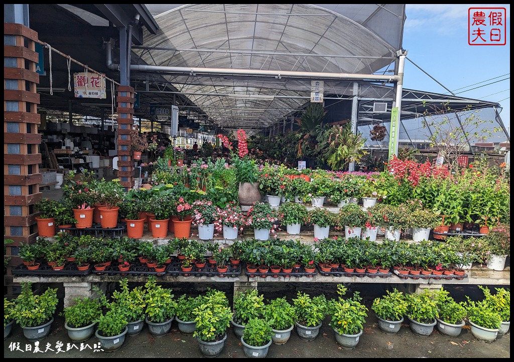 埔茂花市|賞花買花多肉園藝資材好選擇|免費的溜滑梯盪鞦韆可愛動物沙坑 @假日農夫愛趴趴照