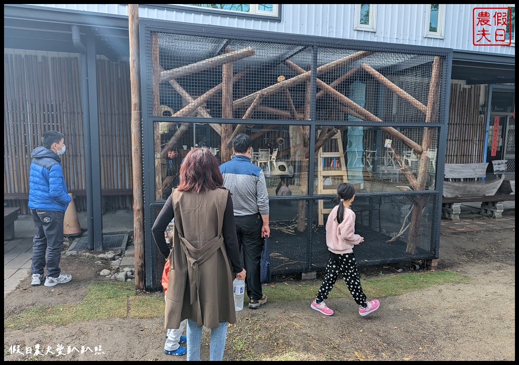 埔茂花市|賞花買花多肉園藝資材好選擇|免費的溜滑梯盪鞦韆可愛動物沙坑 @假日農夫愛趴趴照