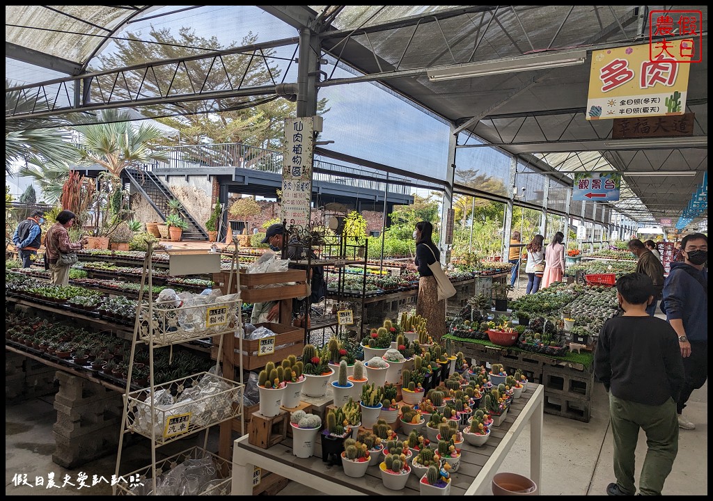 埔茂花市|賞花買花多肉園藝資材好選擇|免費的溜滑梯盪鞦韆可愛動物沙坑 @假日農夫愛趴趴照