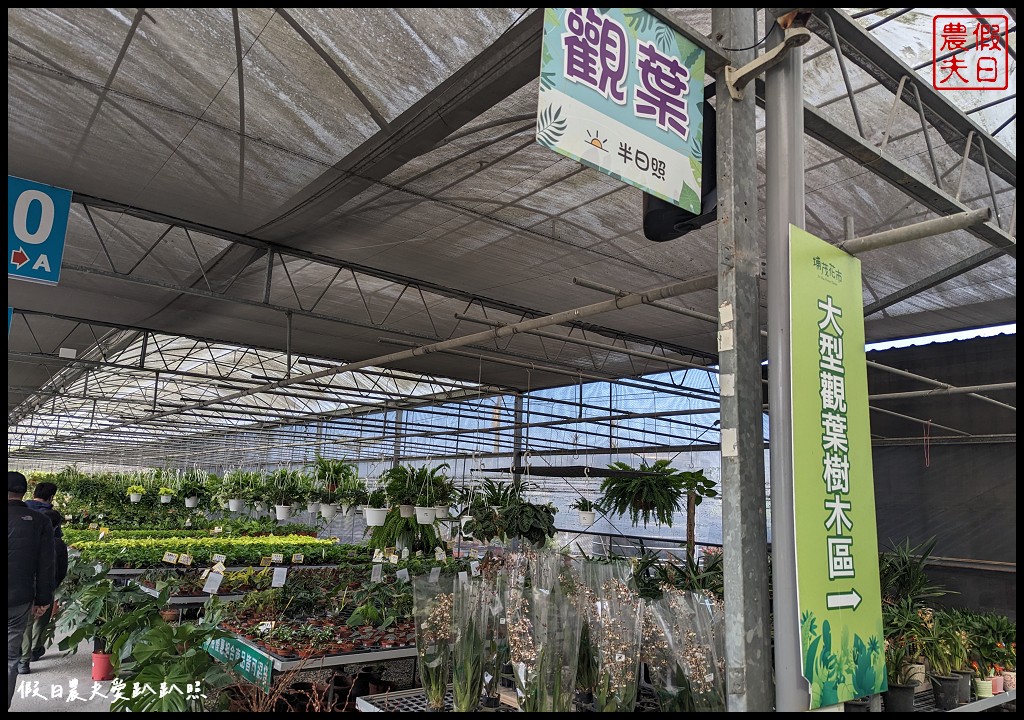 埔茂花市|賞花買花多肉園藝資材好選擇|免費的溜滑梯盪鞦韆可愛動物沙坑 @假日農夫愛趴趴照