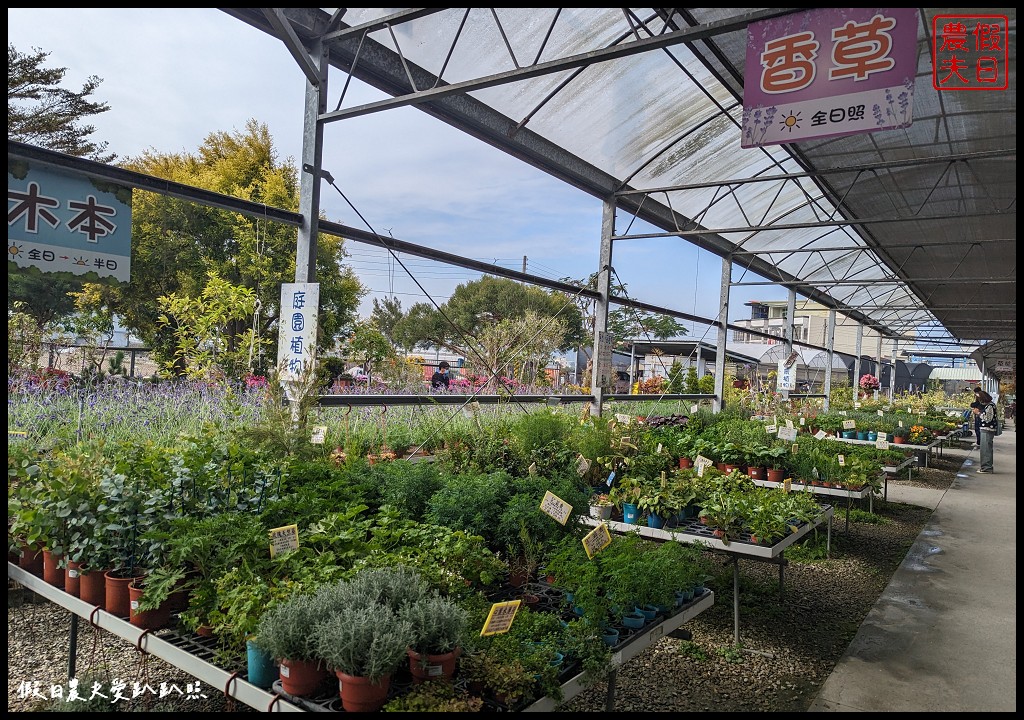 埔茂花市|賞花買花多肉園藝資材好選擇|免費的溜滑梯盪鞦韆可愛動物沙坑 @假日農夫愛趴趴照