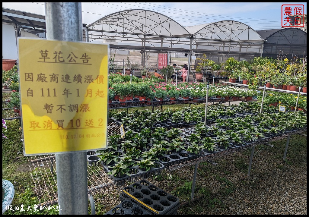 埔茂花市|賞花買花多肉園藝資材好選擇|免費的溜滑梯盪鞦韆可愛動物沙坑 @假日農夫愛趴趴照