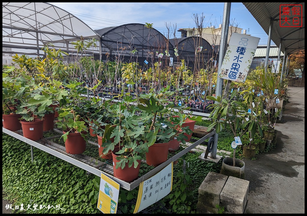 埔茂花市|賞花買花多肉園藝資材好選擇|免費的溜滑梯盪鞦韆可愛動物沙坑 @假日農夫愛趴趴照