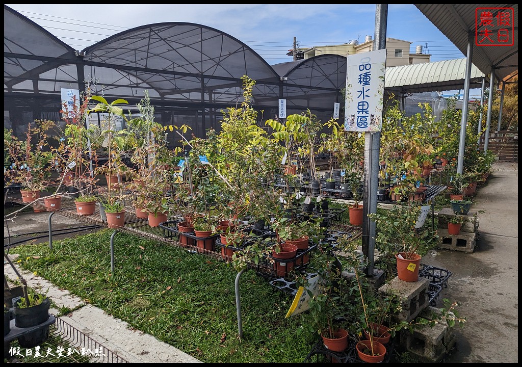 埔茂花市|賞花買花多肉園藝資材好選擇|免費的溜滑梯盪鞦韆可愛動物沙坑 @假日農夫愛趴趴照