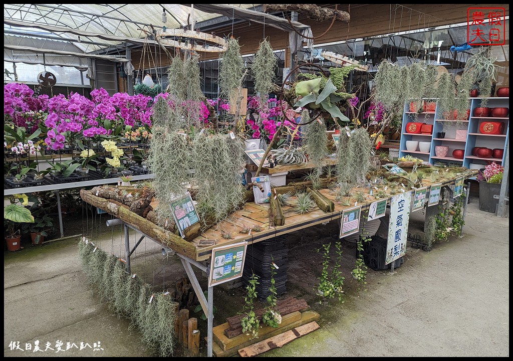 埔茂花市|賞花買花多肉園藝資材好選擇|免費的溜滑梯盪鞦韆可愛動物沙坑 @假日農夫愛趴趴照