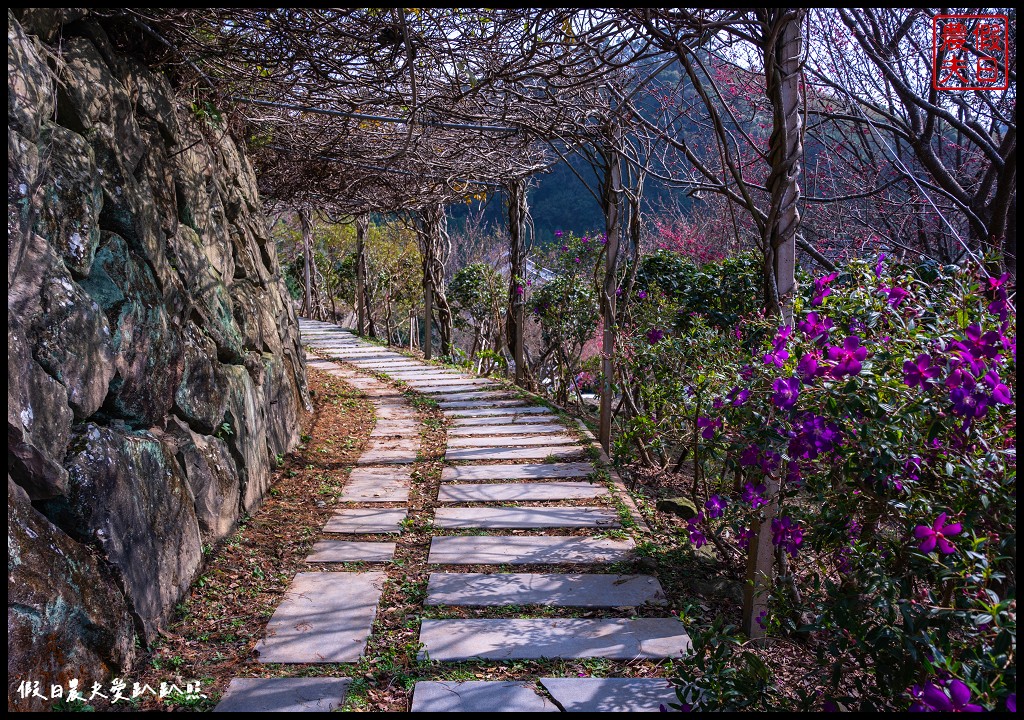 蓮臺山妙音淨苑|山櫻花搭配淨苑建築非常好看/免費賞櫻 @假日農夫愛趴趴照