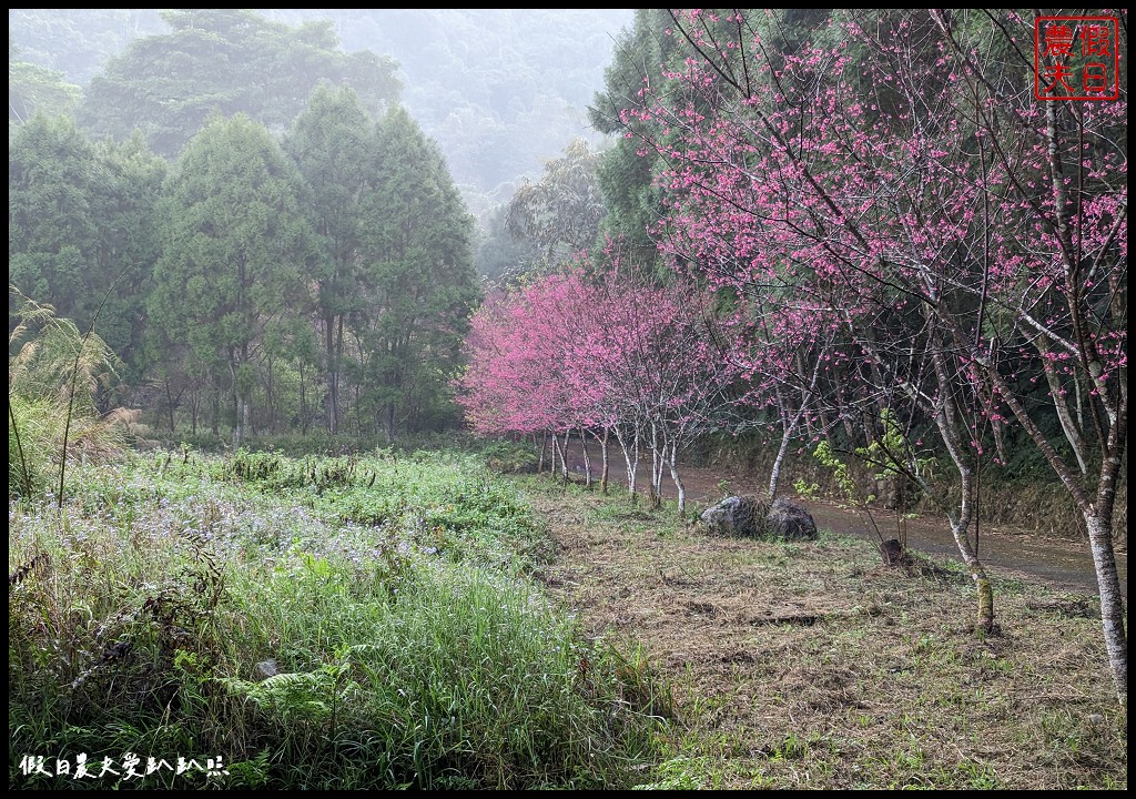 日月潭御朝渡假村|近九族文化村日月潭住宿 超夢幻賞螢景點 @假日農夫愛趴趴照