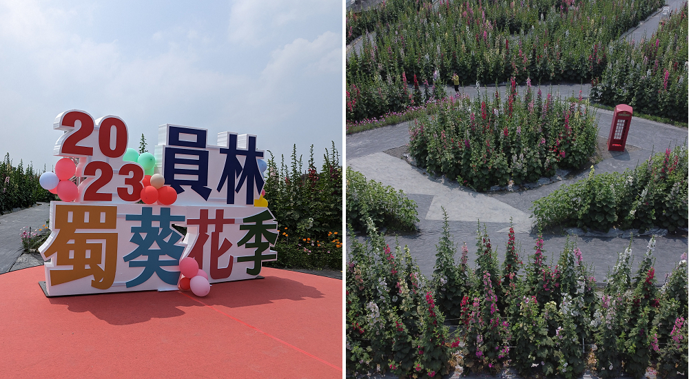 員林蜀葵花季|花現員林-蜀葵花海探險去．2萬株蜀葵花陣迷宮等你來 @假日農夫愛趴趴照