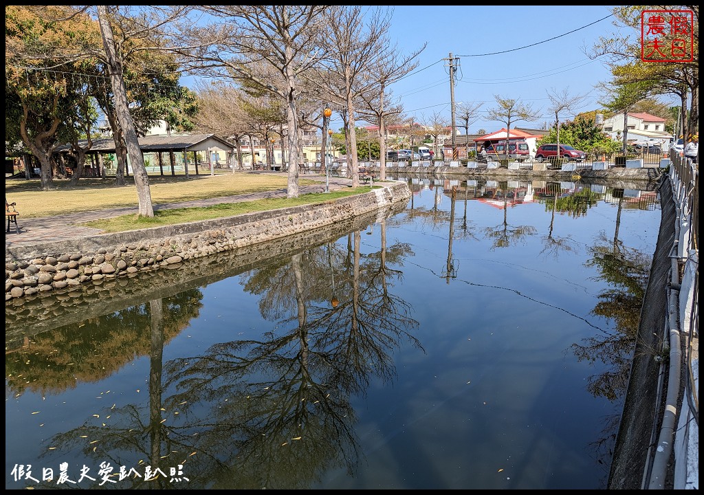 唸戀學甲蜀葵花文化節|愛麗絲夢遊仙境 蜀葵花鼠尾草百日草花海都好拍 @假日農夫愛趴趴照