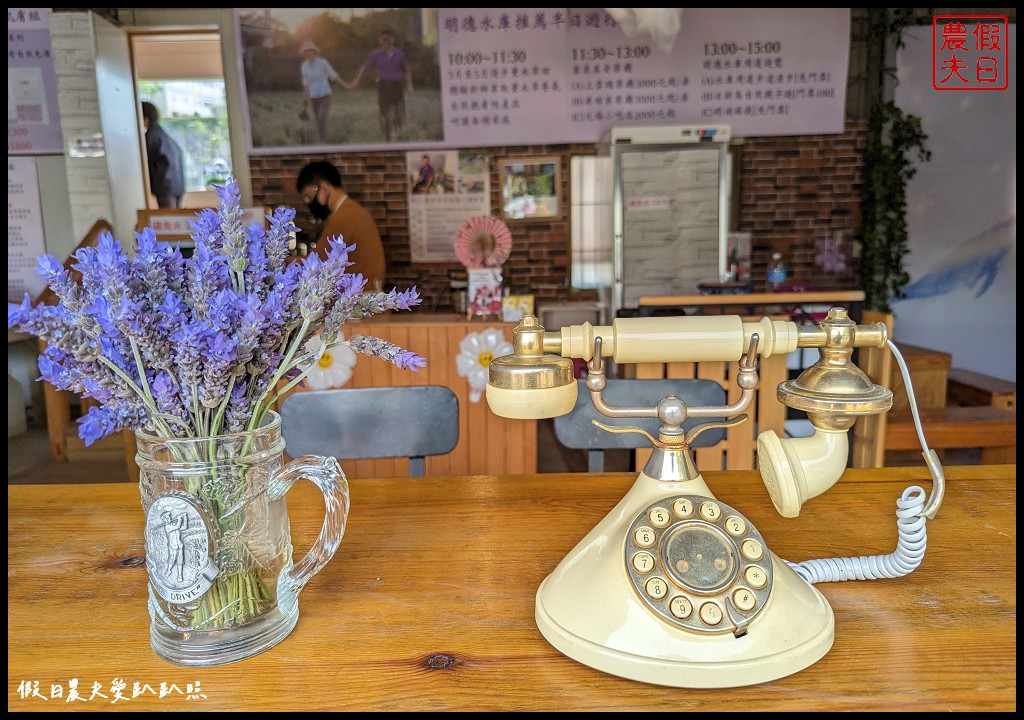 葛瑞絲香草花田|7000坪1萬5千株薰衣草免費參觀．台版的普羅旺斯 @假日農夫愛趴趴照