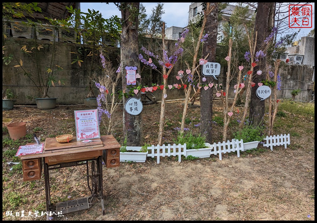 葛瑞絲香草花田|7000坪1萬5千株薰衣草免費參觀．台版的普羅旺斯 @假日農夫愛趴趴照