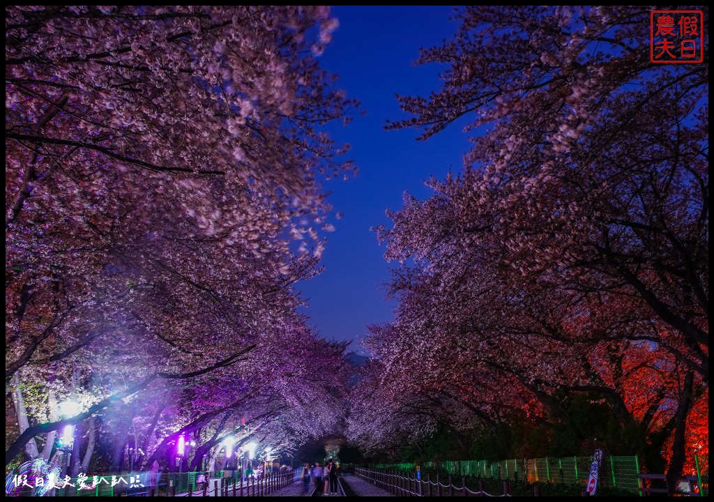 Changwon Hite Hotel|昌原市鎮海軍港節住宿推薦．束川港旁 @假日農夫愛趴趴照