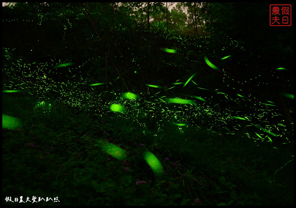 台灣好行南庄線二日遊|南庄漫晨旅店/南庄蔓森活民宿/四十二份湧泉生態步道 @假日農夫愛趴趴照