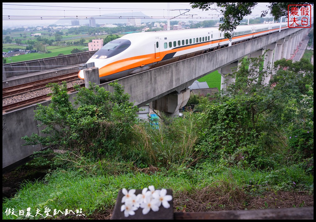 可以桐花和高鐵一起入鏡的外埔水流東桐花步道|虎腳庄農夫市集觀景台稻田彩繪 @假日農夫愛趴趴照