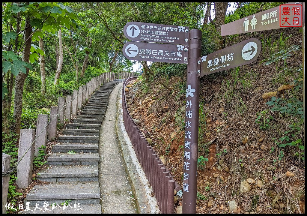 可以桐花和高鐵一起入鏡的外埔水流東桐花步道|虎腳庄農夫市集觀景台稻田彩繪 @假日農夫愛趴趴照