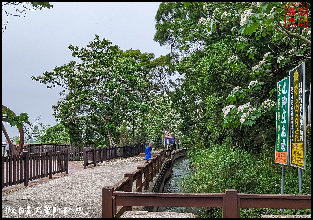 可以桐花和高鐵一起入鏡的外埔水流東桐花步道|虎腳庄農夫市集觀景台稻田彩繪 @假日農夫愛趴趴照