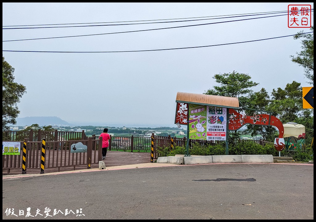 可以桐花和高鐵一起入鏡的外埔水流東桐花步道|虎腳庄農夫市集觀景台稻田彩繪 @假日農夫愛趴趴照