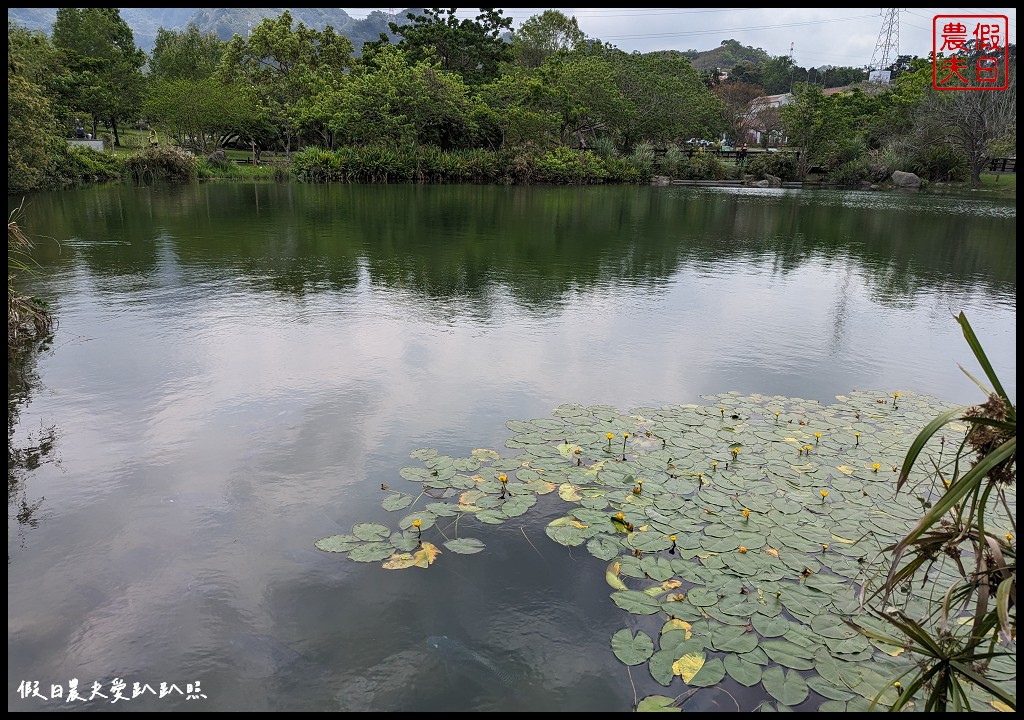 大湖泰安旅遊|大湖酒莊×汶水遊客中心×清安豆腐老街 @假日農夫愛趴趴照