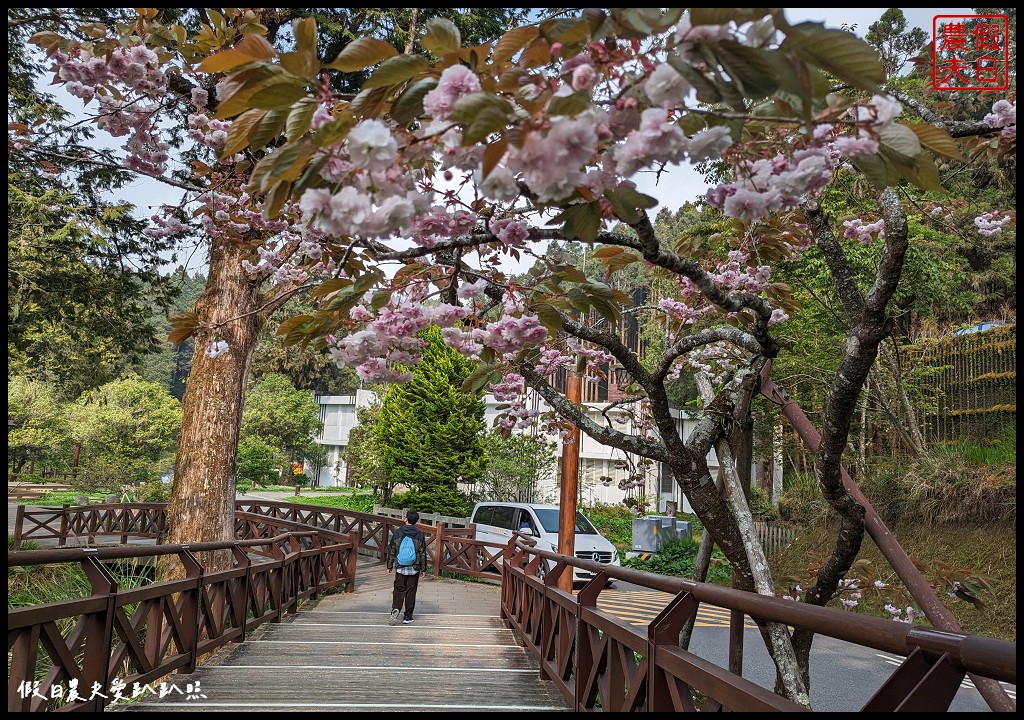 阿里山賓館|海拔最高頂級度假飯店．入住百年歷史元首行館/一泊二食/日落星空銀河 @假日農夫愛趴趴照