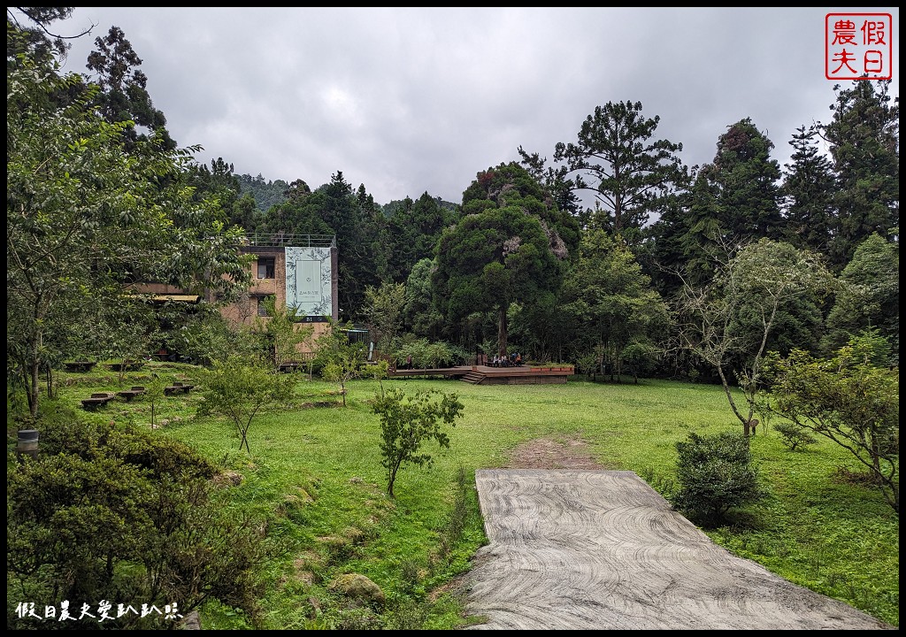 溪頭福華渡假飯店|住進溪頭自然教育園區裡 到森林裡的最美餐廳用餐 @假日農夫愛趴趴照