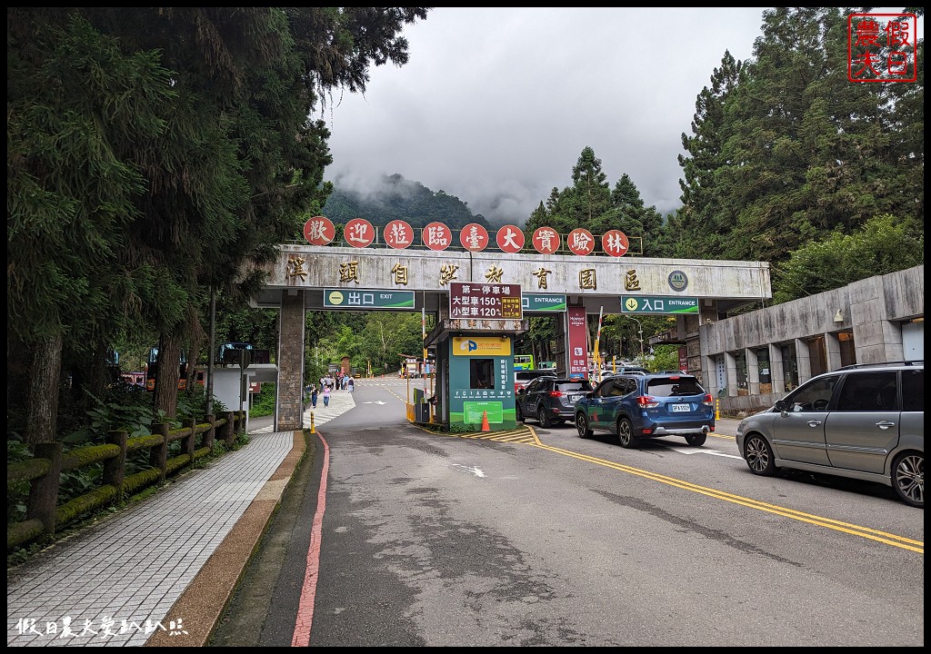 溪頭福華渡假飯店|住進溪頭自然教育園區裡 到森林裡的最美餐廳用餐 @假日農夫愛趴趴照