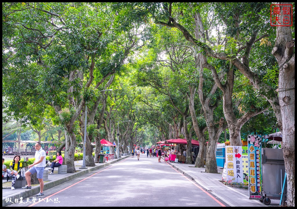 雲林古坑景點|蜜蜂故事館．可近距離觀察蜜蜂生態/大草皮 @假日農夫愛趴趴照