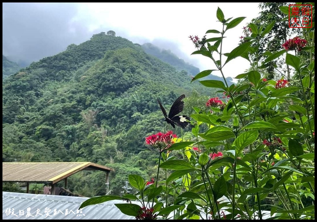 出外旅遊的好幫手．借問站問出在地私房景點美食 @假日農夫愛趴趴照