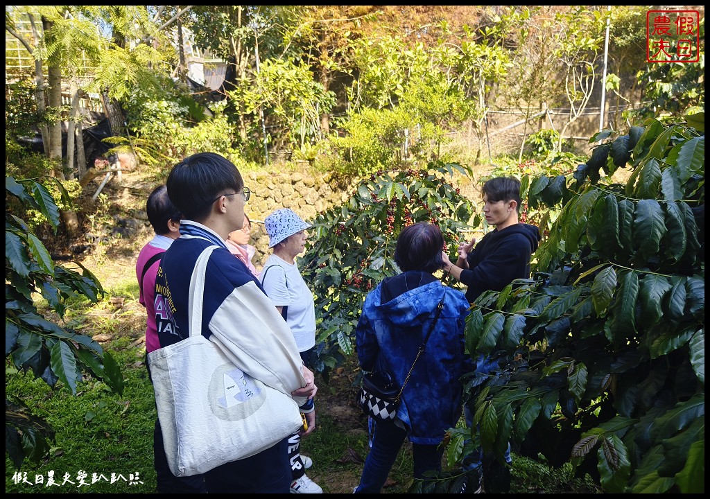 聞著咖啡香去旅行|瑞里印象區咖啡民宿×圓潭自然生態園區×太興岩步道 @假日農夫愛趴趴照