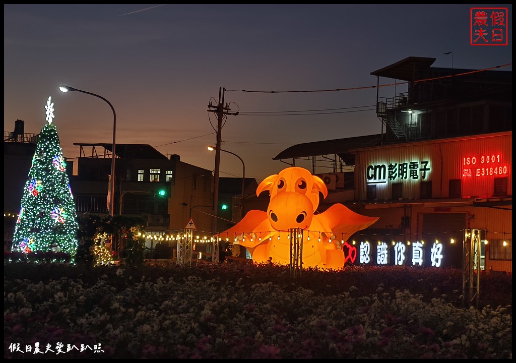 彰明電子花海聖誕燈|白天賞波斯菊花海晚上賞聖誕燈 @假日農夫愛趴趴照