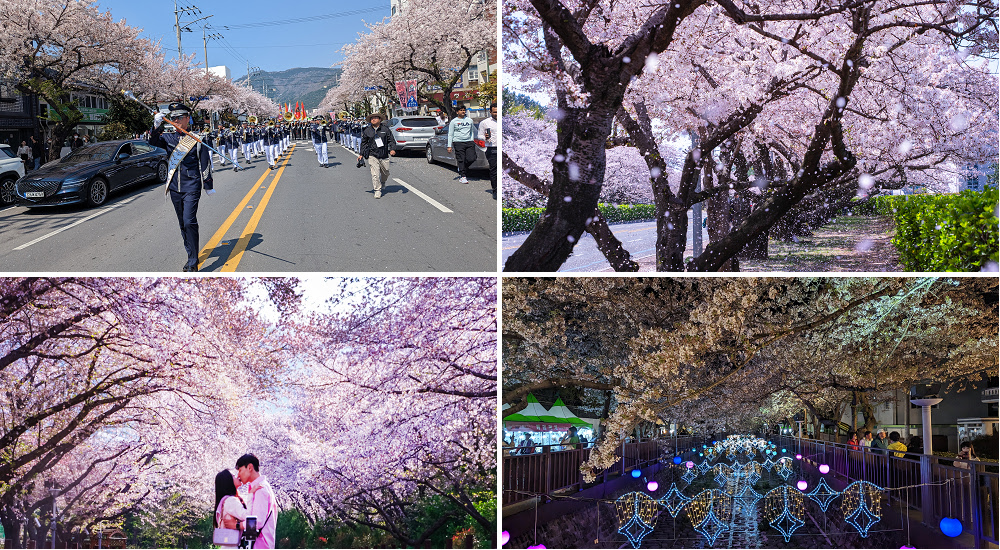 韓國賞櫻|鎮海軍港節|賞櫻景點懶人包．慶和火車站/余佐川羅曼史橋/海軍士官學校/海軍鎮海基地司令部