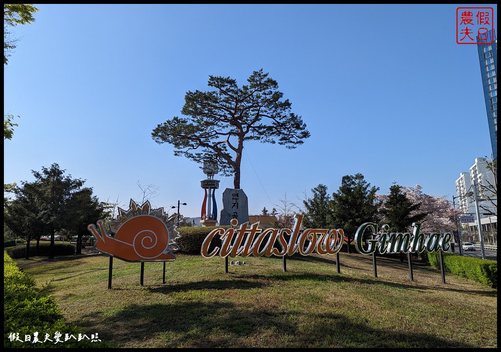 釜山賞櫻景點|金海市蓮池公園．櫻花樹下還有漂亮的鬱金香超美 @假日農夫愛趴趴照