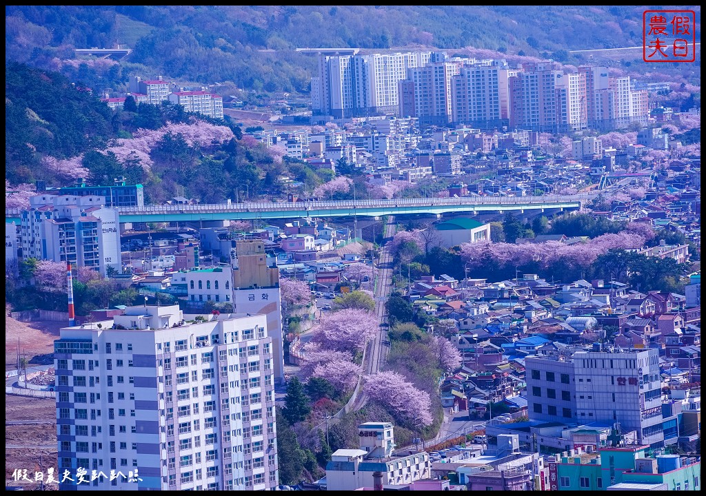 鎮海軍港節|賞櫻景點懶人包．慶和火車站/余佐川羅曼史橋/海軍士官學校/海軍鎮海基地司令部 @假日農夫愛趴趴照