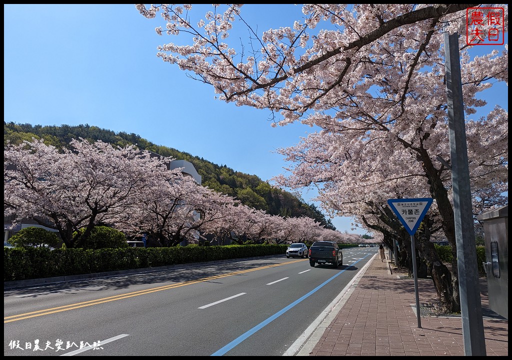 鎮海軍港節|賞櫻景點懶人包．慶和火車站/余佐川羅曼史橋/海軍士官學校/海軍鎮海基地司令部 @假日農夫愛趴趴照