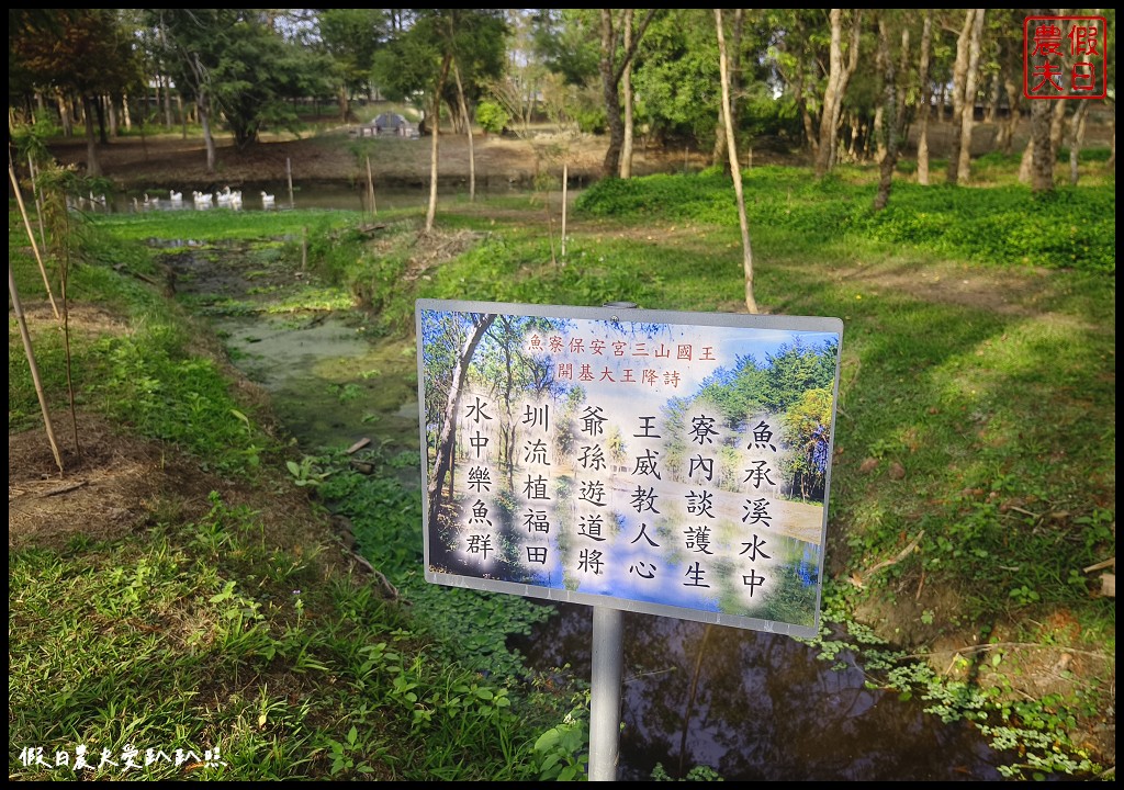 嘉義景點|魚寮落羽松．唯美落羽松森林倒影秘境超好拍 @假日農夫愛趴趴照